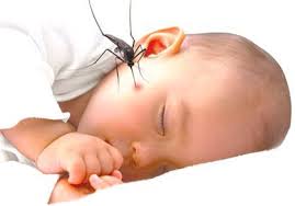 Baby in dengue fever condition